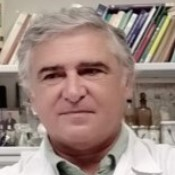 Prof. Dr. José Peña-Amaro avatar image