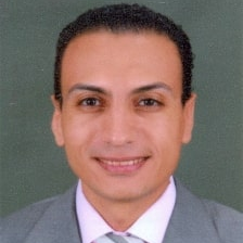 Dr. Hany M. Hasanien avatar image