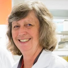 Prof. Mary Fletcher avatar image