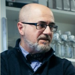 Dr. David Araújo-Vilar avatar image