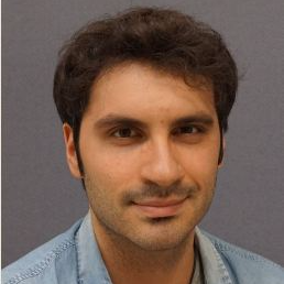 Prof. Dr. Gianluca Rizzello avatar image