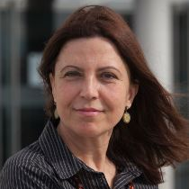 Prof. Dr. Rosabel Roig-Vila avatar image