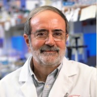 Prof. Dr. Roberto Docampo avatar image