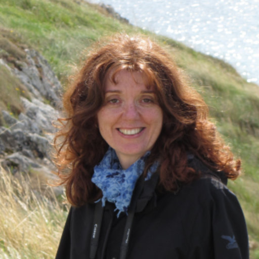 Dr. Roberta Moschini avatar image