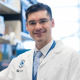 Dr. Ivan V. Litvinov avatar image