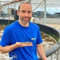 Dr. Felipe Boéchat Vieira avatar image