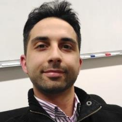 Dr. Fulvio Flamini avatar image