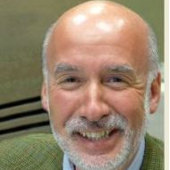 Prof. Dr. Gianluca Gaidano avatar image