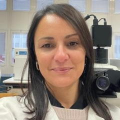 Dr. Rachele Macirella avatar image