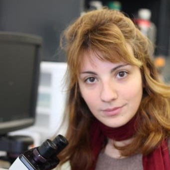 Dr. Stella Alimperti avatar image