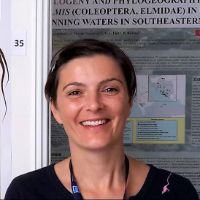 Dr. Davorka Hackenberger avatar image