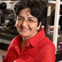 Prof. Mona Zebarjadi avatar image