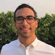 Prof. Dr. Luca Brillante avatar image