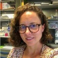 Dr. María García-Díaz avatar image