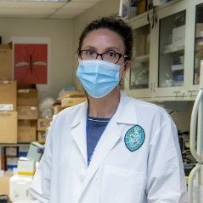 Dr. Dahlene Fusco avatar image