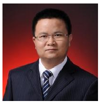 Prof. Dr. Hong Qi avatar image