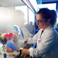 Dr. Eleonora Vannini avatar image