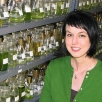 Dr. Schonna R. Manning avatar image