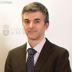 Prof. Dr. Hernán Gonzalo-Orden avatar image