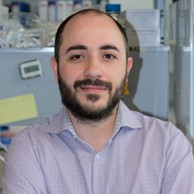 Dr. Miguel Fidalgo avatar image