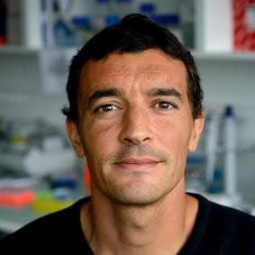 Dr. Samir Merabet avatar image