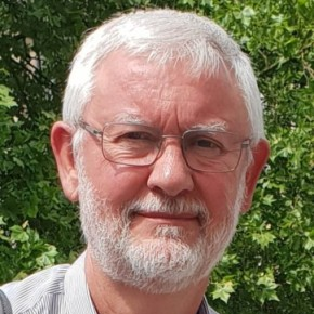 Prof. Dr. Luis R. Domingo avatar image