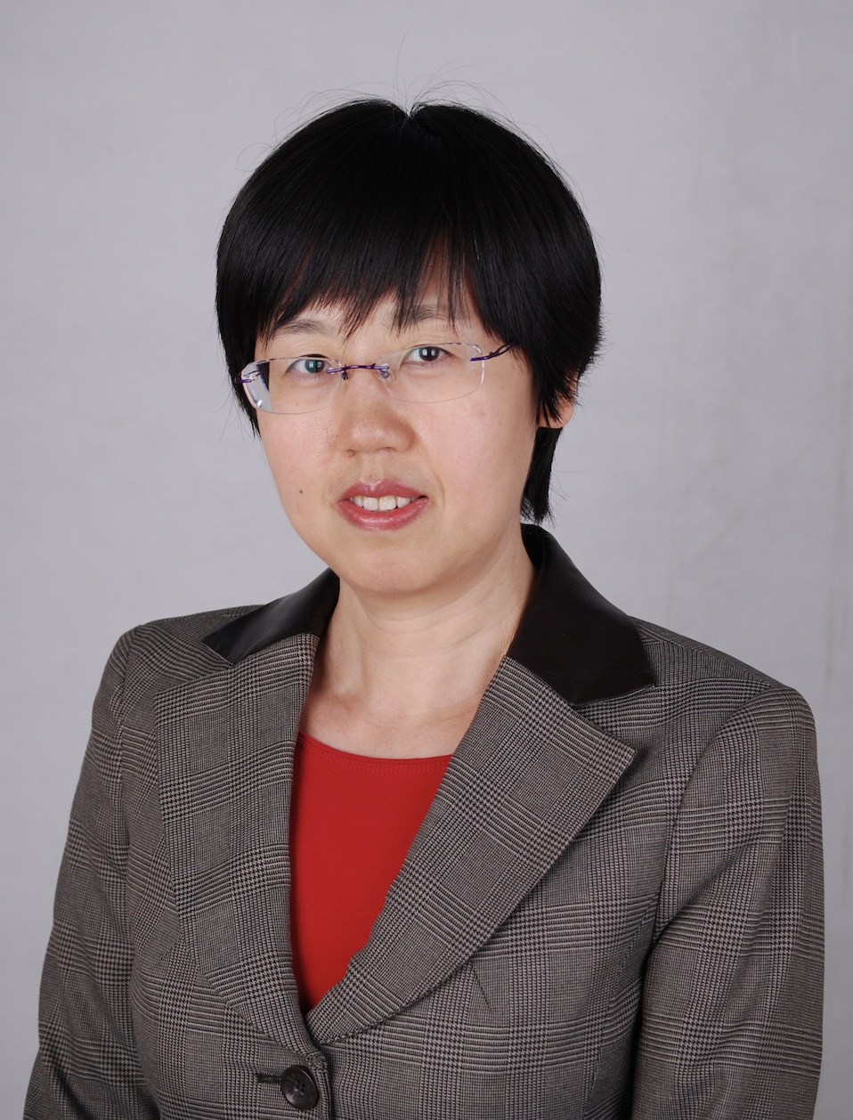 Prof. Dr. Zheng Yan avatar image