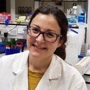 Dr. Maria Cermeño avatar image