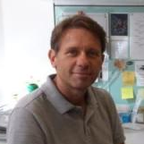 Prof. Dr. Manfioletti Guidalberto avatar image