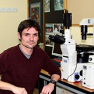 Dr. Emilio Sánchez-Ortiga avatar image