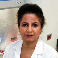 Prof. Dr. Mojgan Rastegar avatar image