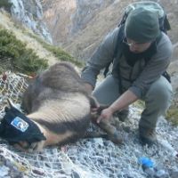 Dr. Simone Angelucci avatar image