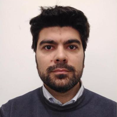 Dr. Diego Angeli avatar image