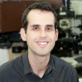 Dr. Aristeidis Papagiannopoulos avatar image