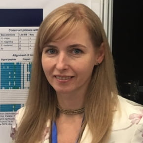 Dr. Elena Leychenko avatar image