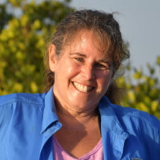 Prof. Dr. Linda J. Walters avatar image