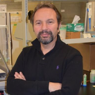 Prof. Dr. Hikmet Budak avatar image