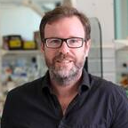 Dr. Quenten P. Schwarz avatar image