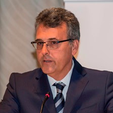 Prof. Dr. Luciano Saso avatar image