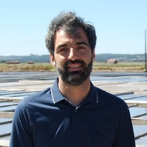 Dr. Tiago Verdelhos avatar image