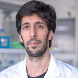 Dr. Hugo Arasanz Esteban avatar image