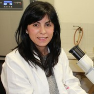 Dr. Giuseppina Comito avatar image
