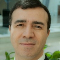 Prof. Dr. Ali Elkamel avatar image