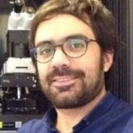 Dr. Mariano Romero avatar image