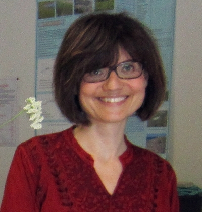 Dr. Valeria Tomaselli avatar image