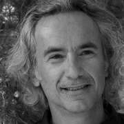 Prof. Dr. Yiorgos Apidianakis avatar image