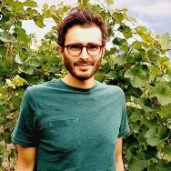 Dr. Michele Faralli avatar image