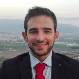 Dr. Álvaro Fernández Ochoa avatar image