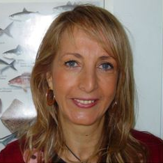 Dr. Narcisa Maria Bandarra avatar image