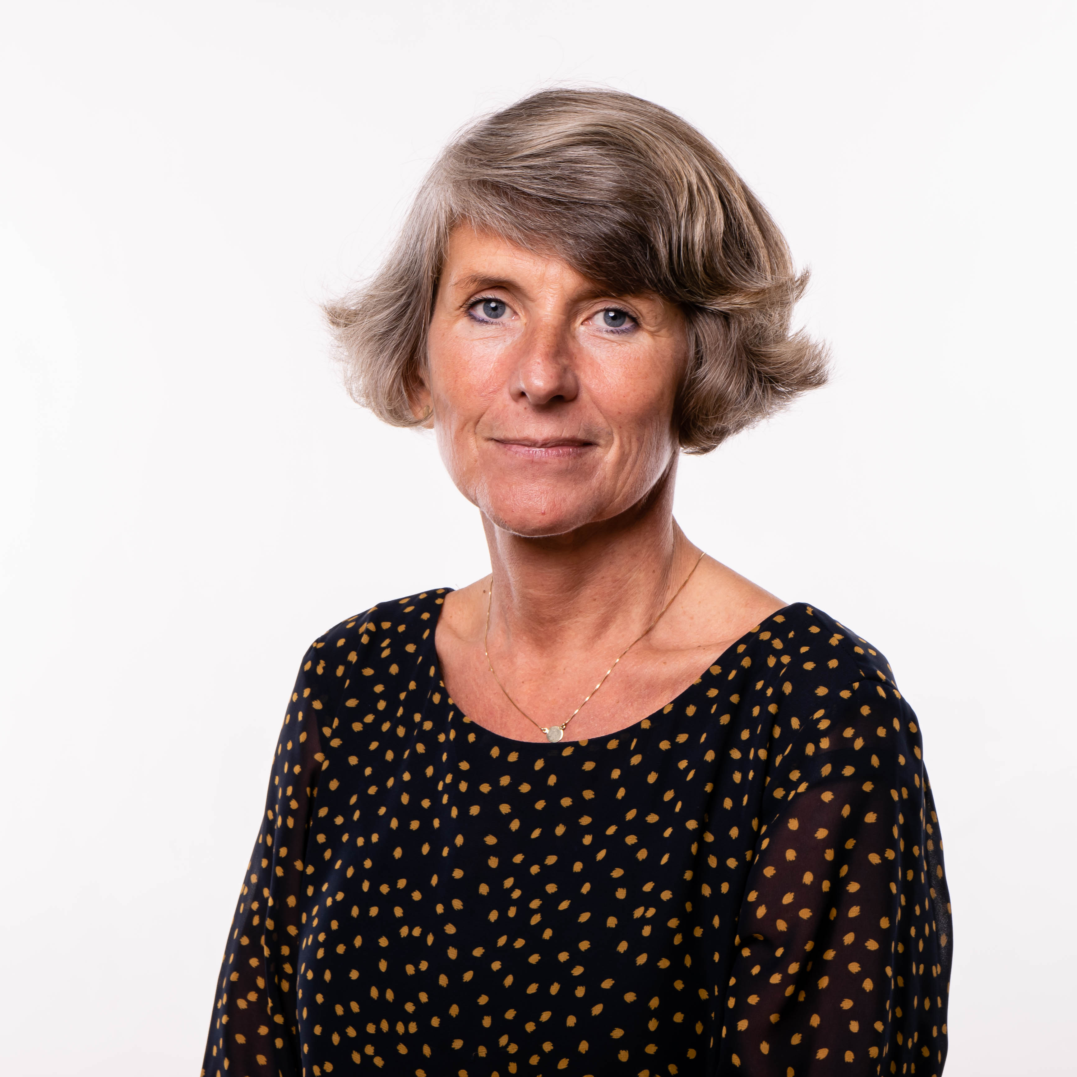 Prof. Dr. Codruta Simona Stoica avatar image